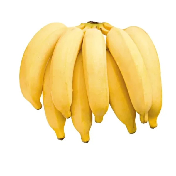 Banana Prata