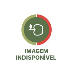 Berinjela