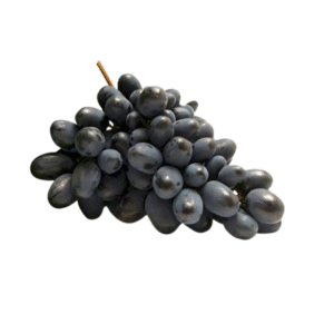 Uva Jubille