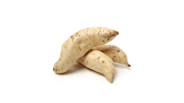 Batata doce branca