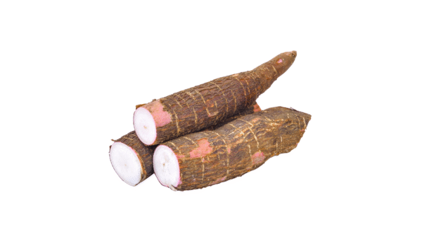 Mandioca Cacau