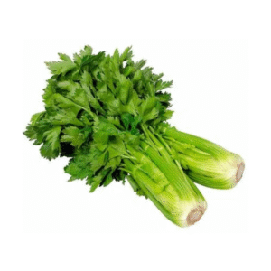 Salsão