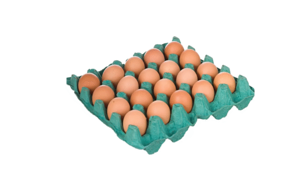 Ovos Vermelhos 20 unidades