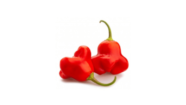 Pimenta Cambuci Vermelha Bandeja
