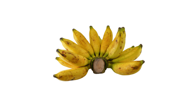 Banana Maçã