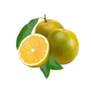 Laranja Pera Rio