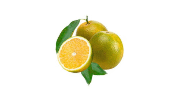 Laranja Pera Rio