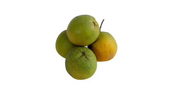 Laranja Selecta