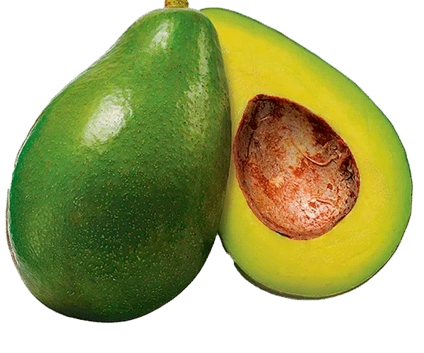 CRCitrus_Abacate.png