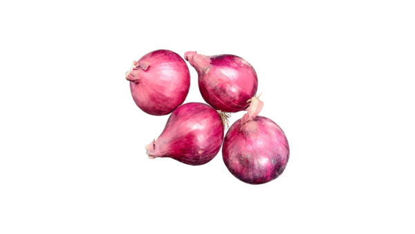 Cebola Roxa média