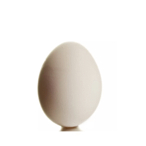 Ovo Branco unidade