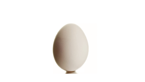 Ovo Branco unidade