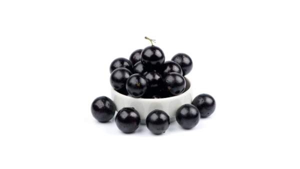 Jabuticaba