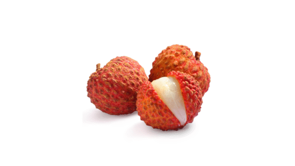 Lichia