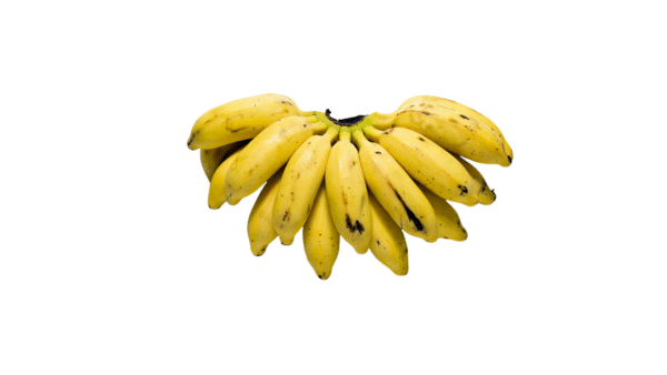 Banana Ouro