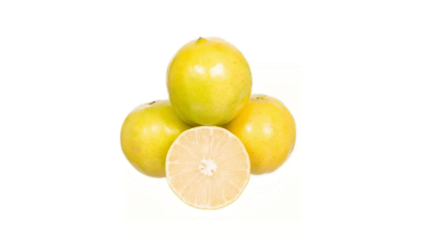 Laranja Lima da Pérsia